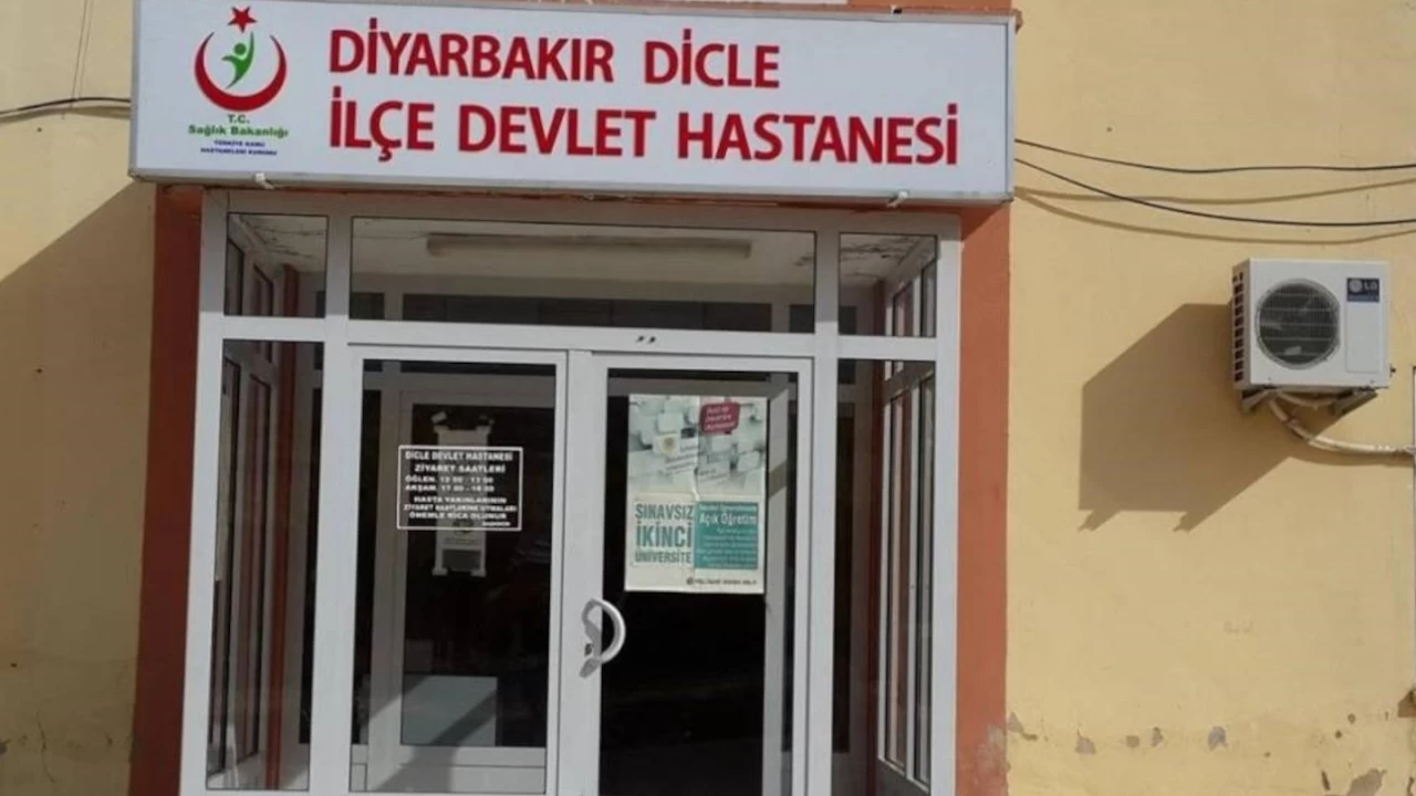 Diyarbakır'da başıboş köpek tarafından ısırılan kadın yaralandı