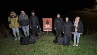 Edirne'de 29 kaçak göçmen yakalandı