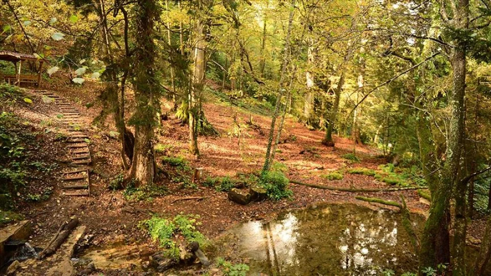 Giresun�un sakl� cenneti: Har�it Tabiat Park� 