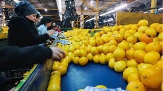 Grip vakalar� art�yor; C vitaminini yanl�� besinde aramay�n