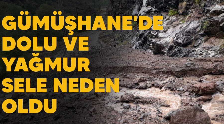 Gümüşhane'de dolu ve yağmur sele neden oldu