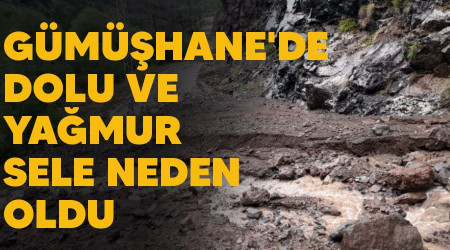 Gümüşhane'de dolu ve yağmur sele neden oldu