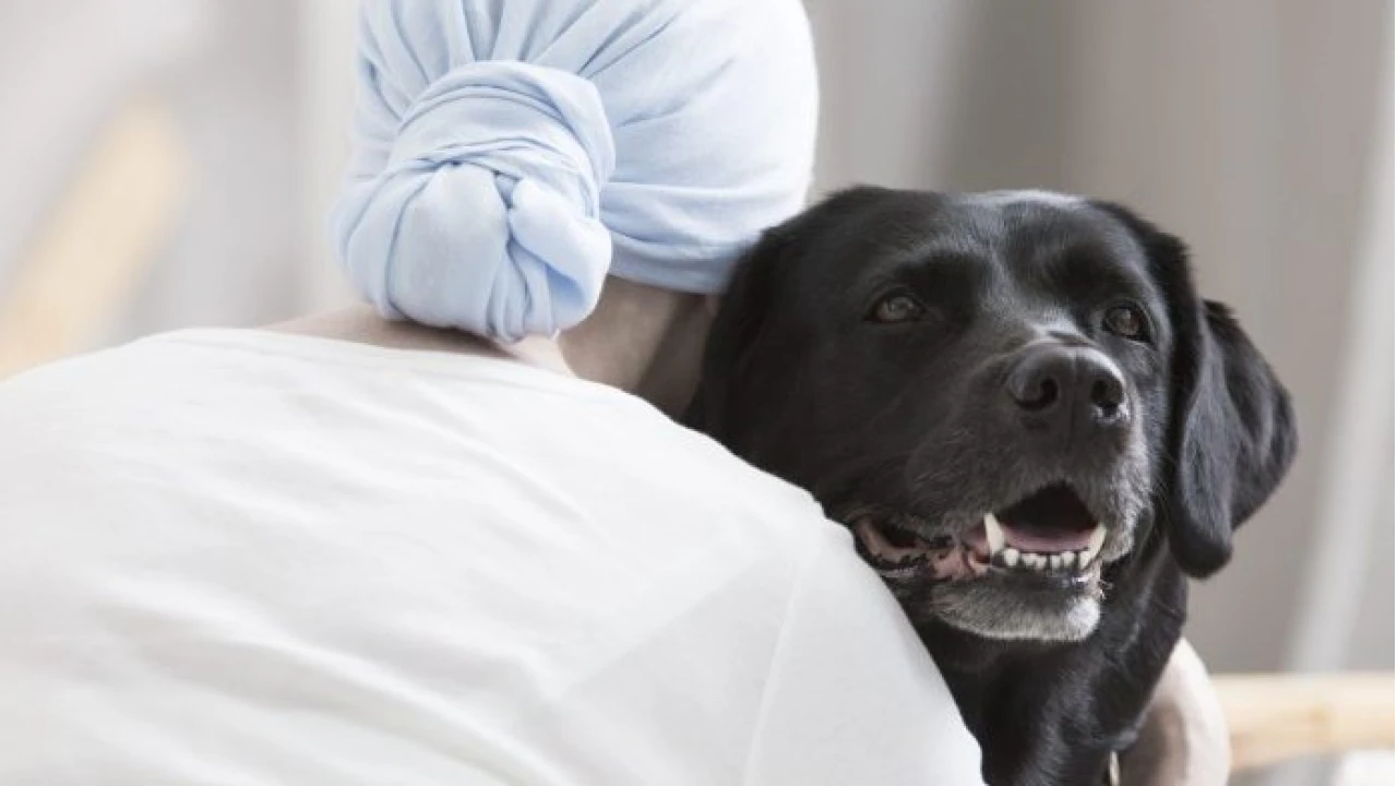 Hayvan İçgüdüsü Hastalık Teşhisinde Kullanılıyor