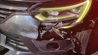 İnegöl'de otomobilin çarptığı ayı telef oldu