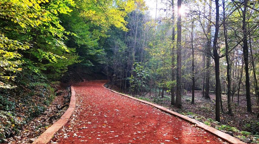 İstanbul'da mesire yeri kiraya veriliyor