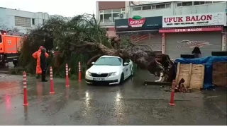 �zmir'de sa�anak ve f�rt�na hayat� fel� etti