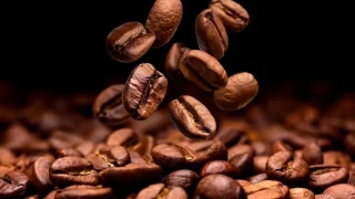 Kahvede bilimsel devrim