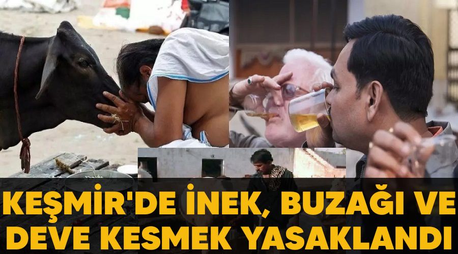Keşmir'de inek, buzağı ve deve kesmek yasaklandı
