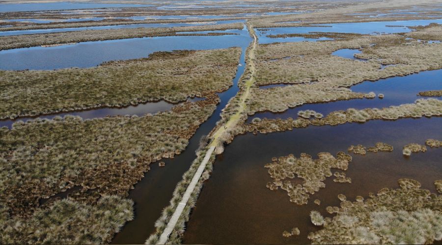 K�z�l�rmak Deltas� y�z g�ld�rd�