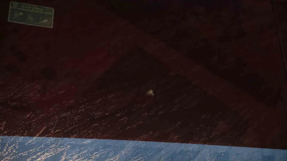 Ma� �ncesi Trabzonspor otob�s�ne al�ak sald�r�