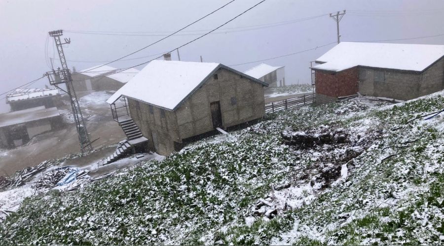 Mayıs ayında yağan kar herkesi şaşırttı
