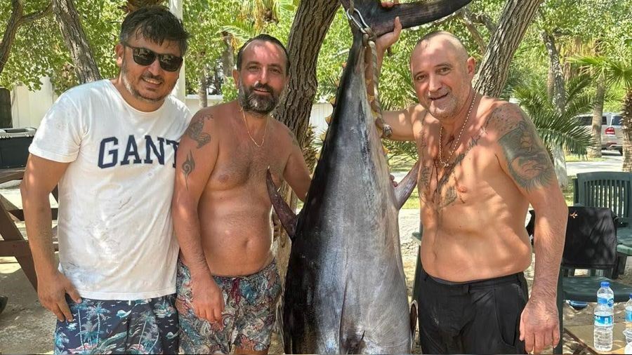 Oltalar�na 160 kiloluk orkinos tak�ld� 