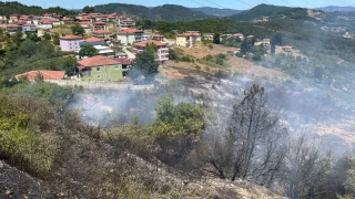 OSB iindeki ormanlk alanda kan yangn yrekleri aza getirdi