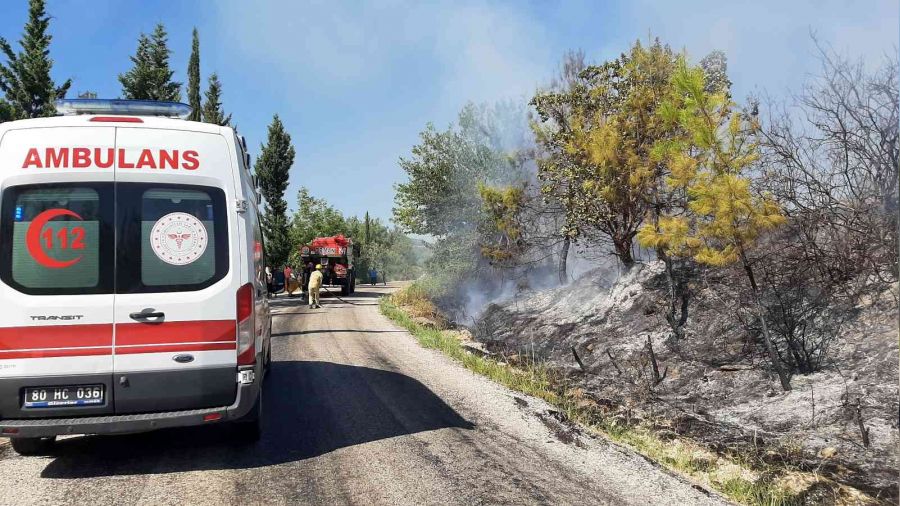 Osmaniye'de orman yangını kontrol altında