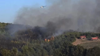 Osmaniye'deki yangında bir kişi öldü