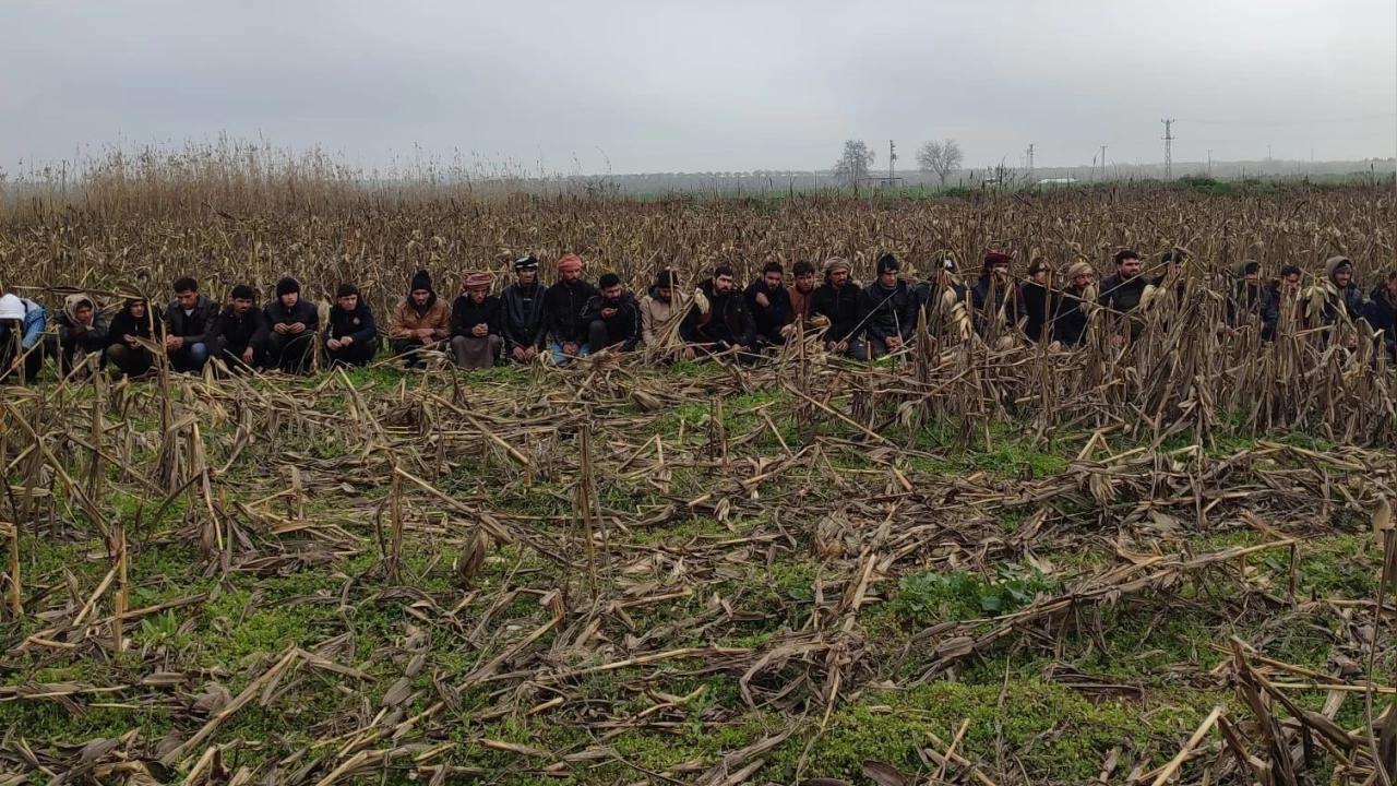 �anl�urfa'da 29 ka�ak g��men yakaland�