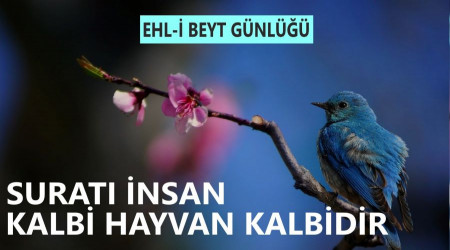 ‘Suratı insan, kalbi hayvan kalbidir’