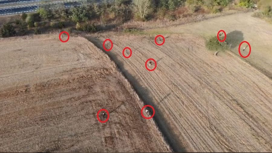 Tarlalarda eskiden karga kovalanırdı şimdi göçmen kovalanıyor