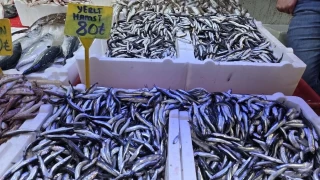 Tezgahlarda hamsi bolluu