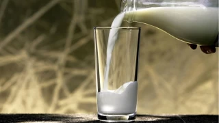 Ticari st iletmelerince toplanan inek st miktar azald