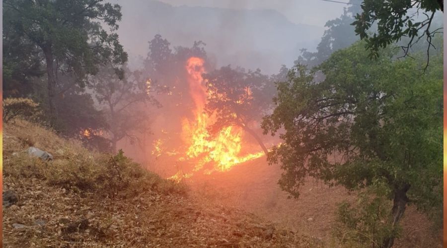 Tunceli'de piknikçilerin olduğu alana yıldırım düştü
