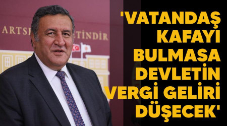 'Vatanda kafay bulmasa devletin vergi geliri decek'