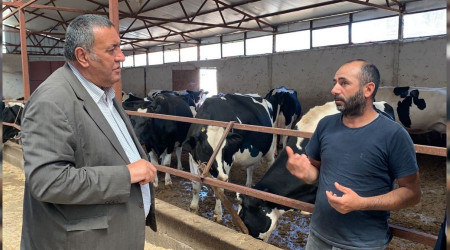 Yem fiyatları besiciyi bıktırdı
