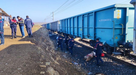 Yük treni sürüye çarptı: Çoban öldü