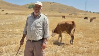 40 yıllık çoban sağlığını mesleğine borçlu olduğunu söyledi