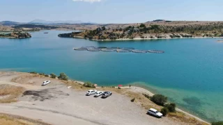 Balk kafesleri patlad, oltasn alan baraja kotu