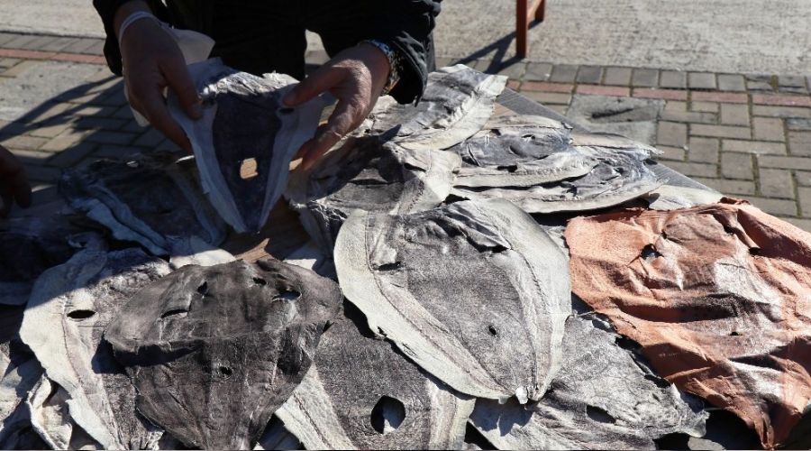 Balon balığı ayakkabı, cüzdan, çanta olacak