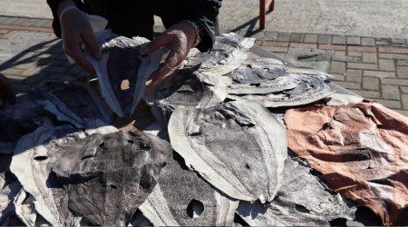 Balon balığı ayakkabı, cüzdan, çanta olacak