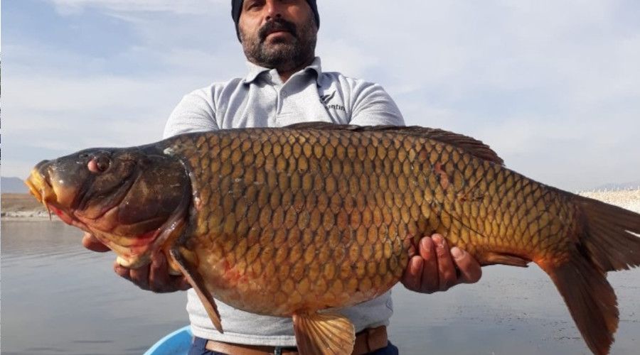 Baraj g�l�nde 150 santim uzunlu�unda bal�k yakalad�lar