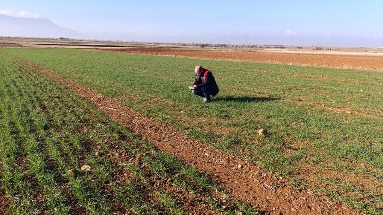 Başmakçı ilçesinin tarımsal potansiyeli ve sorunları