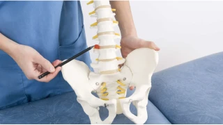 Bel f�t���n�z varsa, bu 7 �neri tam size g�re