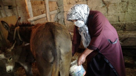 Bir litresi 100 TL'den satılıyor, pandemi onu da etkiledi