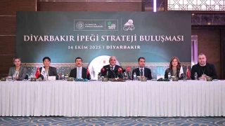 Diyarbakr ipei masaya yatrld