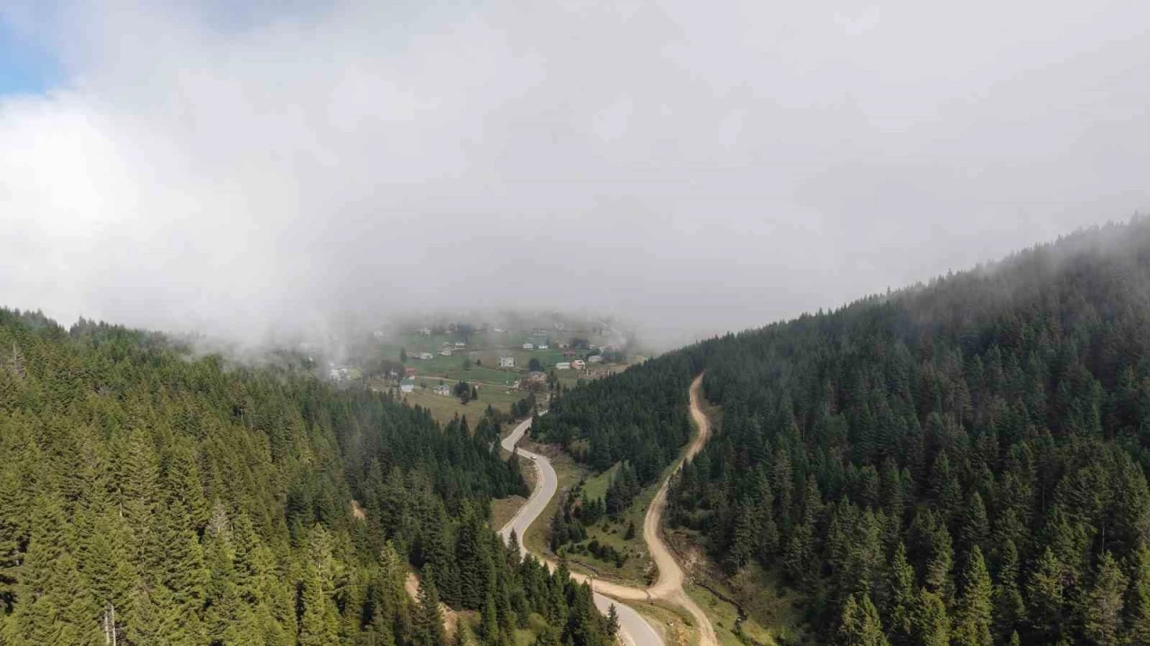 Do�u Karadeniz B�lgesinde heyelan alarm�