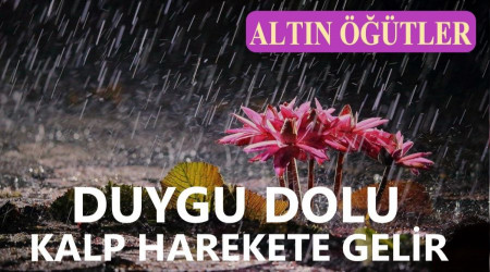 ‘Duygu dolu kalp harekete gelir’