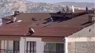 Elaz'da tedbirsiz alma yrekleri aza getirdi