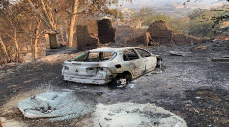 Güney Kıbrıs'taki orman yangınında ölü sayısı 4'e yükseldi