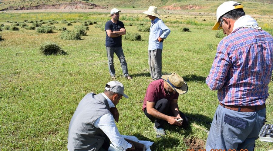 HRÜ'nün pamuk verimi ile ilgili projesi TÜBİTAK tarafından kabul edildi
