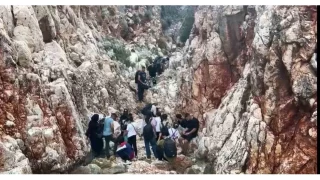 Ka'ta 21 dzensiz gmen ve 1 organizatr yakaland