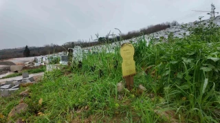 Kimsesiz cenazelerin ardından kalan sarsıcı hikayeler