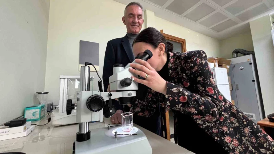 Kolorektal kanser tedavisi için yeni umut