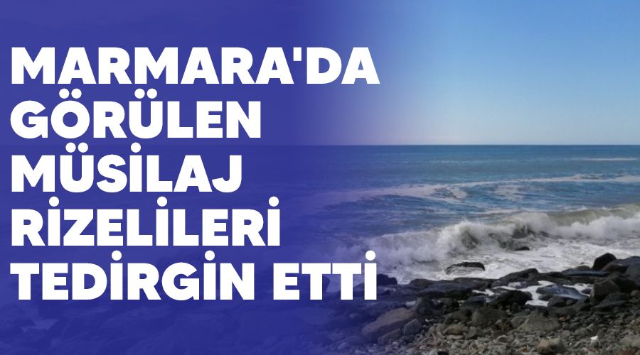 Marmara'da görülen müsilaj Rizelileri tedirgin etti