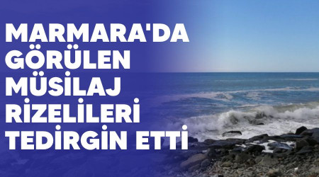 Marmara'da görülen müsilaj Rizelileri tedirgin etti