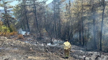 Marmaris'teki orman yangını söndürüldü