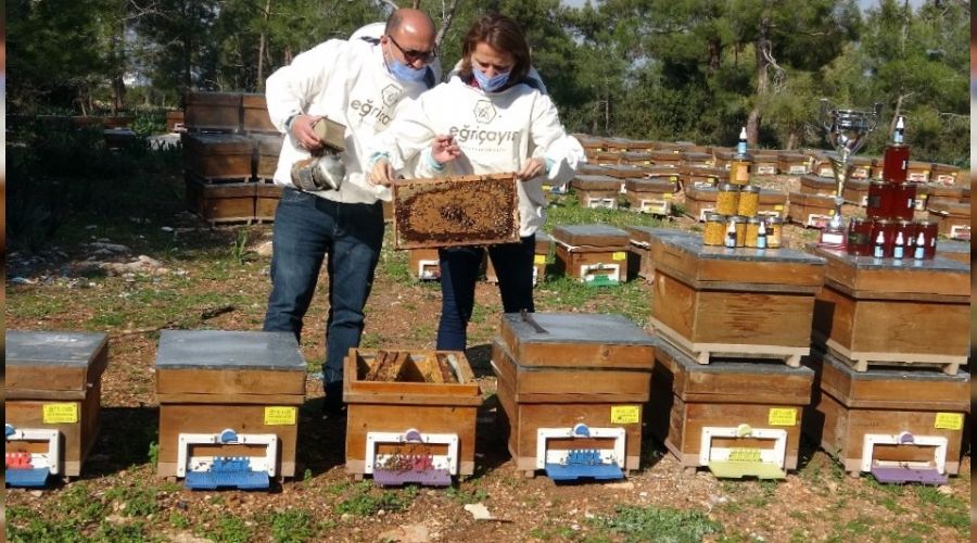 Ödüllü bala pandemide talep arttı