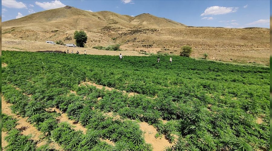 Ter�r �rg�t�ne uyu�turucu darbesi